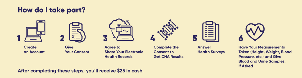 How do I take part? Infographic describing the enrollment process. Create an account, give your consent, agree to share your electronic health records, complete the consent to get DNA results, answer health surveys, have your measurements take. After completing these steps, you'll receive $25 in cash.